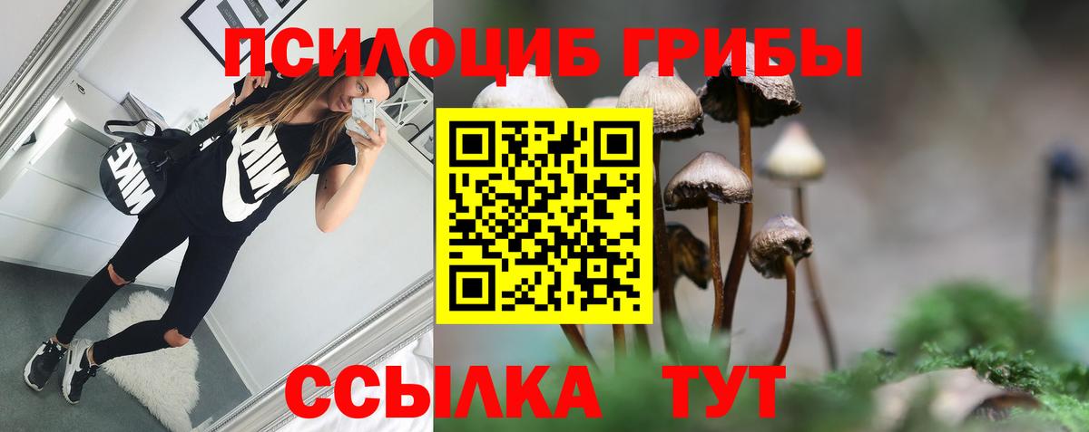 Псилоцибиновые грибы мухоморы  Псилоцибиновые грибы MAGIC MUSHROOMS  Бердск  Вход с VPN 